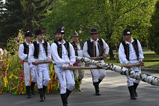 Stavanie mája v Trebišove - foto č. 2