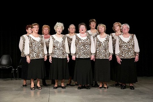 Košickí seniori sa predviedli v tanci aj v speve - foto č. 10