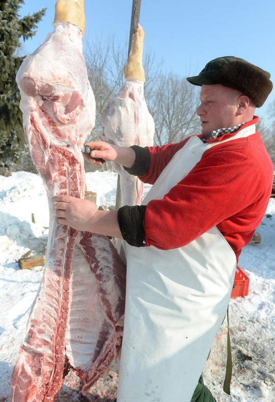 Tradičná zabíjačka v obci Ploské - foto č. 1